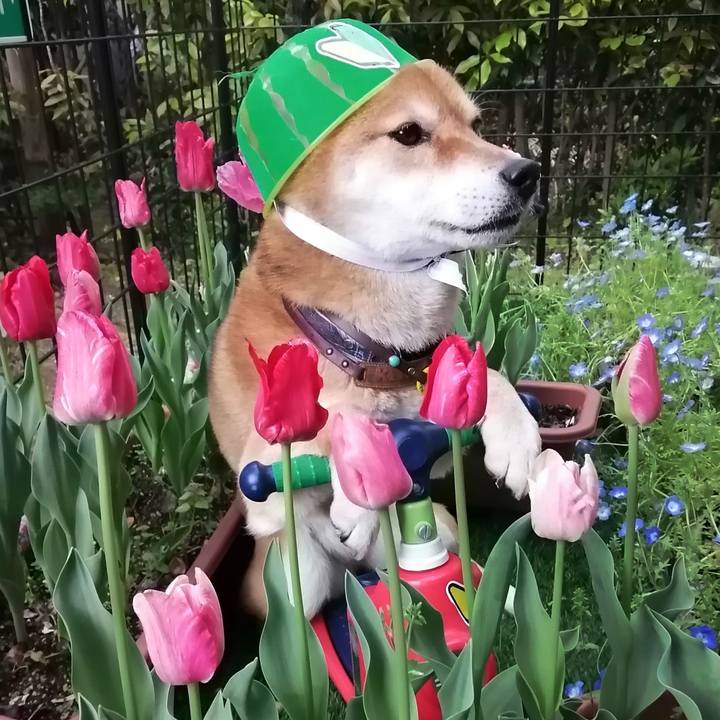 E73120db 2044 432d ba58 c58bfe5558bf 1587537894290