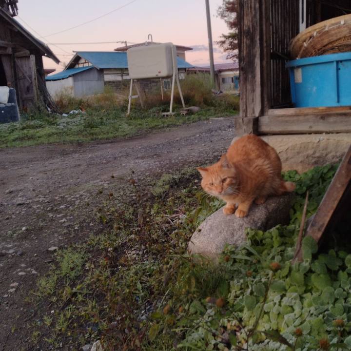 E731283f 48a2 42ec b2d1 6086903b4b15 1667685203033