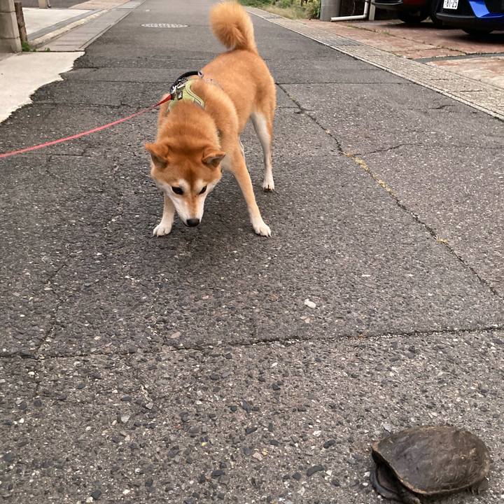 E73187bb 2fce 43b8 b0cc 153d31830626 1693366372891