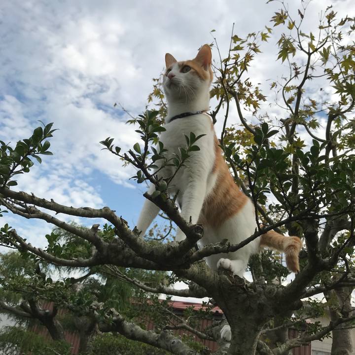 E7319b85 07ed 4b49 bba8 02b6515947a3 1509151159203