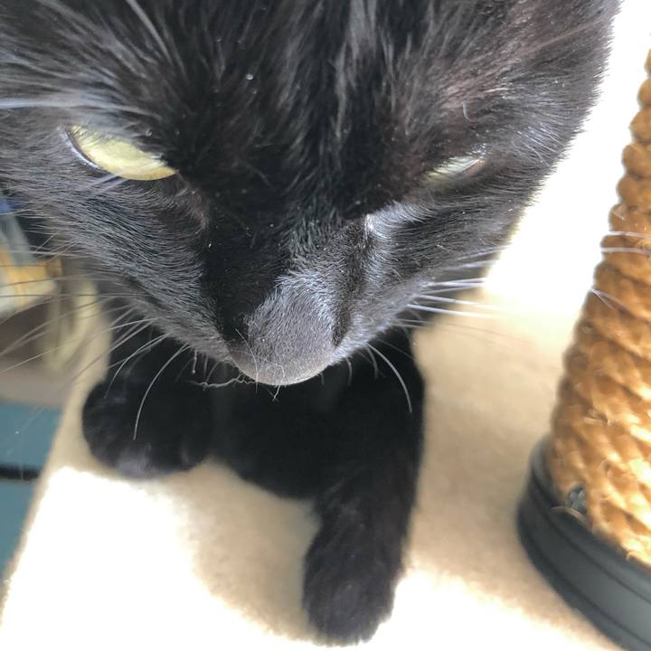 E731ba9a 60b1 42a7 9b9e ef4375a9bf44 1635559017639