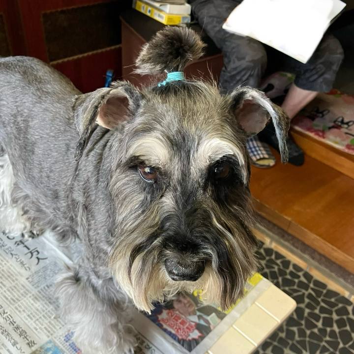 E731d1e7 443e 43e1 9e88 408e4d732ada 1719668404361