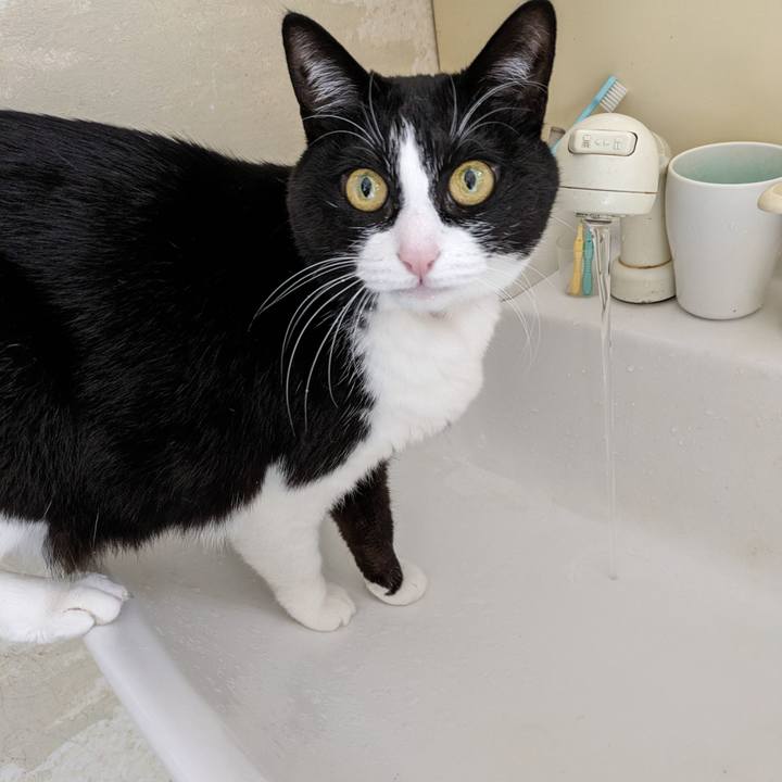 E731fc38 8491 469e af01 d15465a49bbe 1715424602311