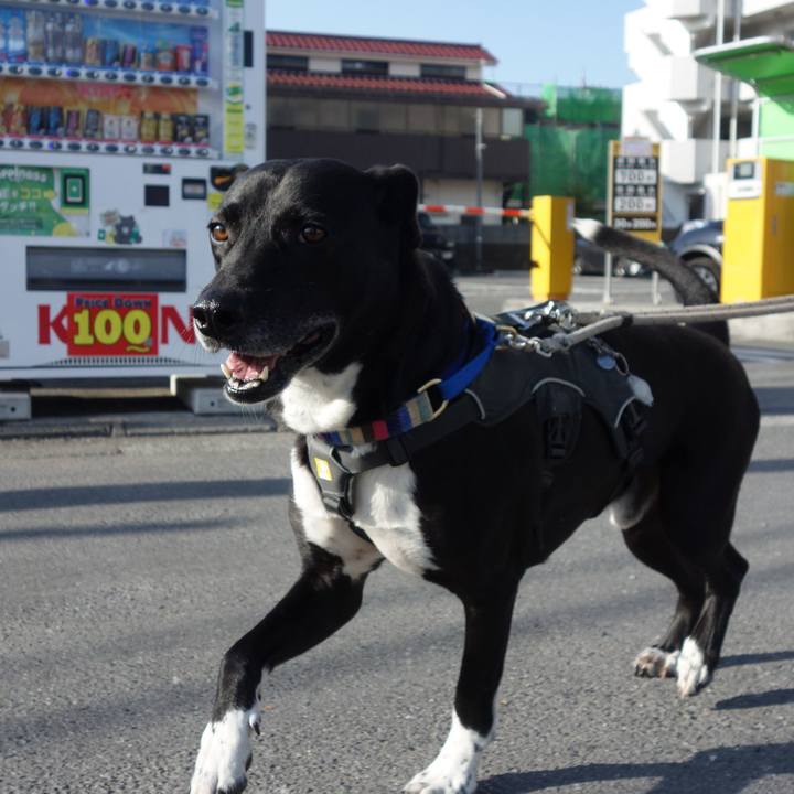 E73215d1 eb31 4920 925d 01e741684801 1649551180264