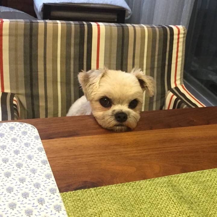 E7321a20 e9aa 45d8 b642 780cb549dcd4 1524999053376