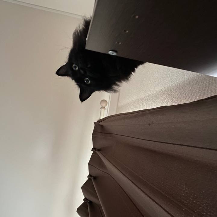 E7322c11 4ad6 4a39 a3b8 3e002fb87e71 1576880504270