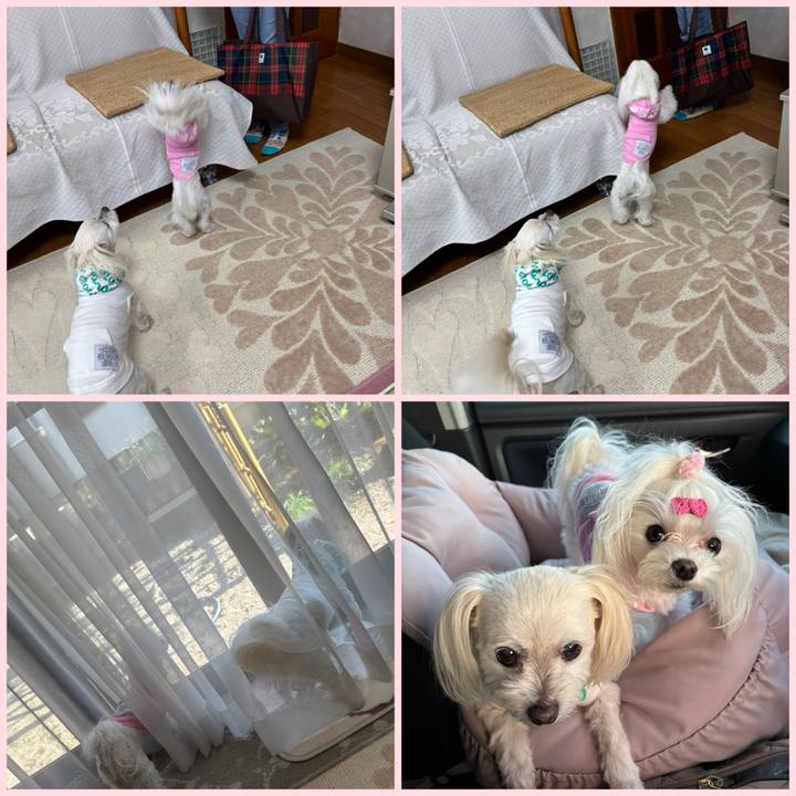 E7324b78 7343 41cd a5e8 59c3cd715e6c 1775123731916