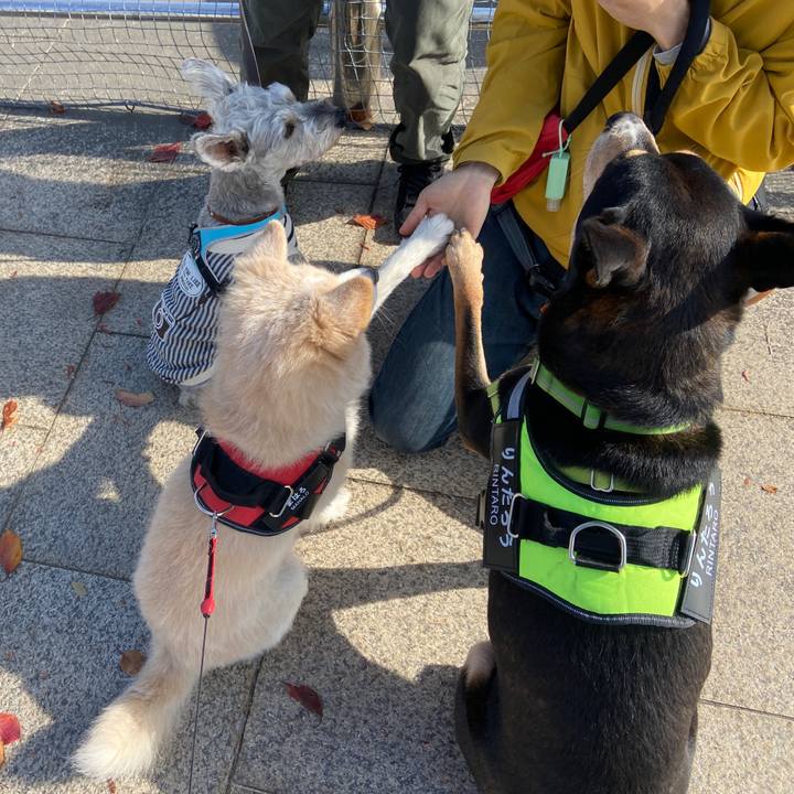 E7327dba 8826 4cb9 81a8 96946554e42a 1668835988677