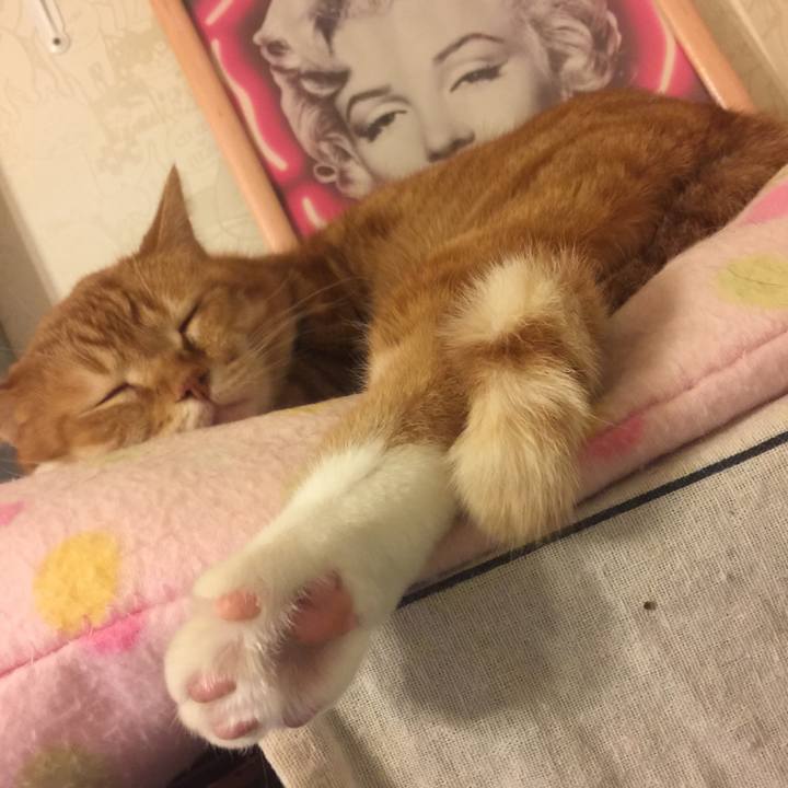 E732cd9b 0058 453f a6f8 4bafa536887b 1549639807219