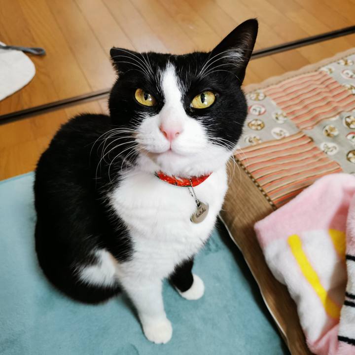 E732e555 3177 4f98 9452 f4d98bb87552 1678247526411