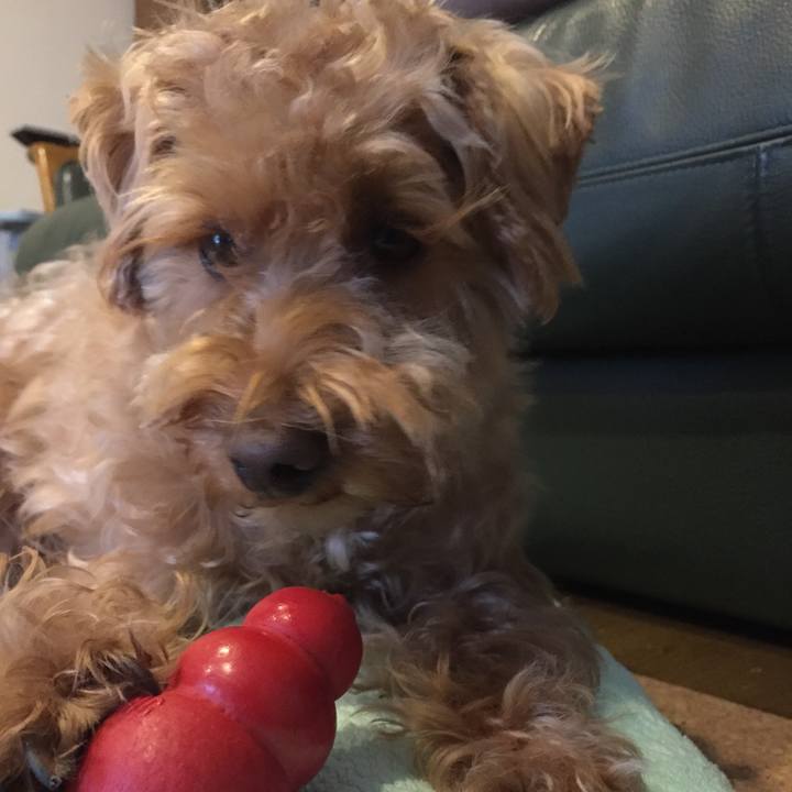 E732fc89 46e7 4232 bbb4 c6a971a2b59c 1521499220533