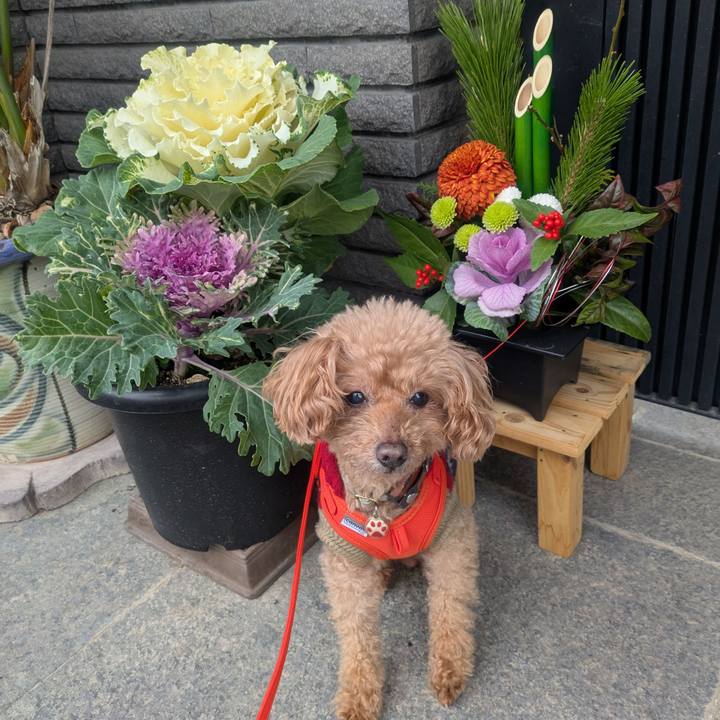 E732fd60 680b 43ae 8a6b c00dab51a406 1767569713693