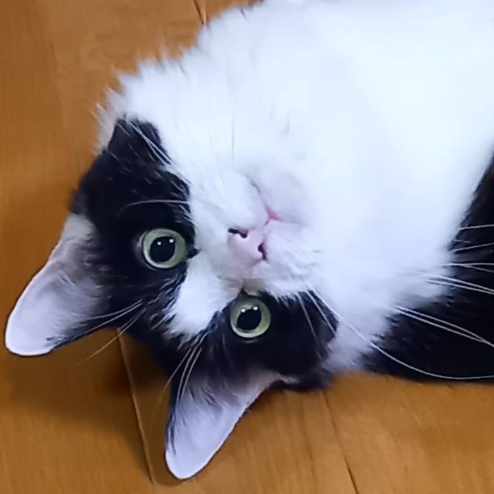 E73312c7 a392 41dd 8484 5389cc5ca35f 1681559757703