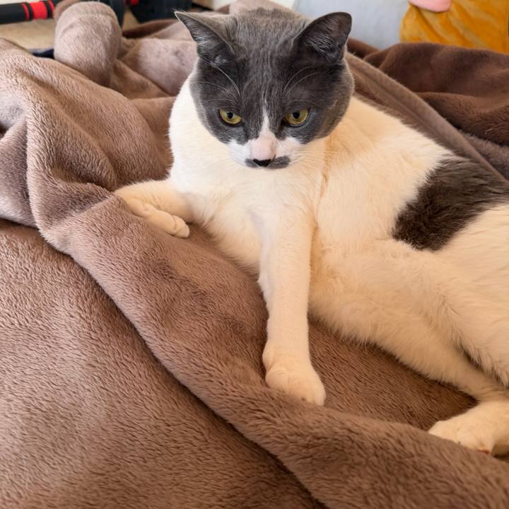 E7331edf c47c 4682 848b eceabd2fe483 1771024690805