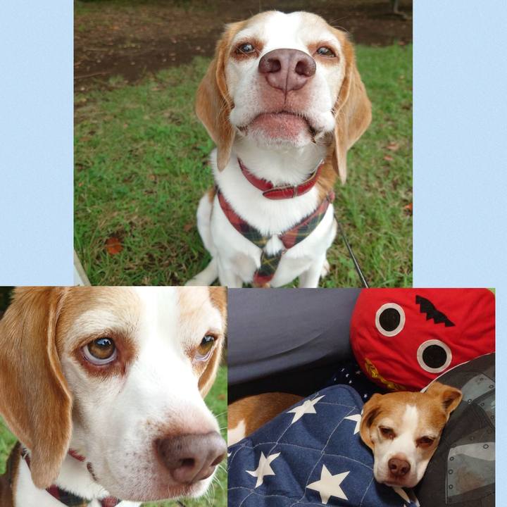 E7333e74 2028 4616 a626 baca97a39537 1758460038683