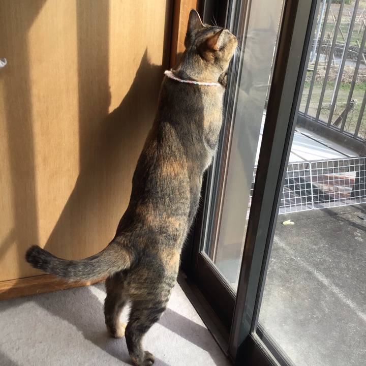 E733400f 91bc 4732 95af eb9067a95492 1615962632999