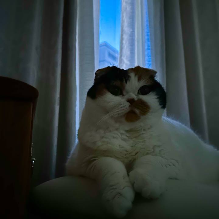 E7336075 053f 41e6 802d f8c81d49b086 1703367694899