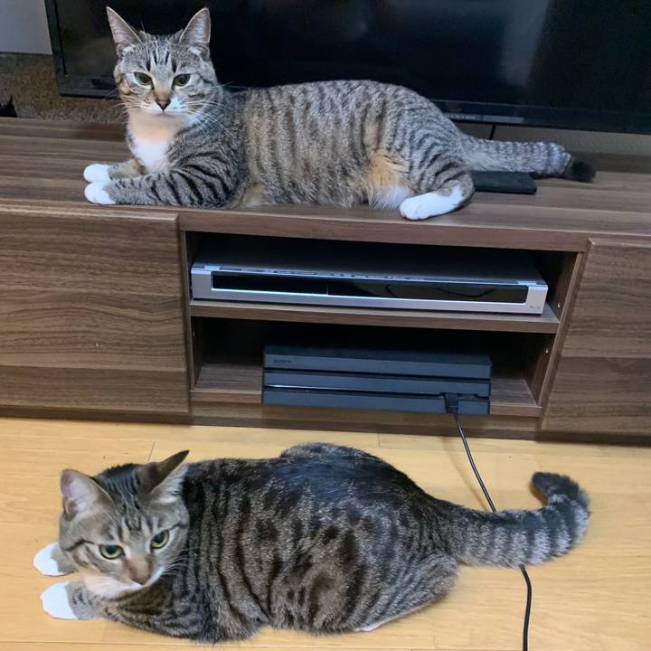 E73376a5 4bb6 4692 826d ef009be1f007 1556066023530