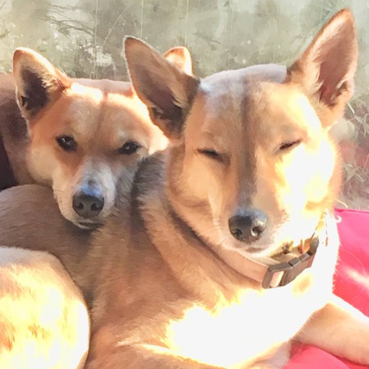 E73381b3 3641 4b9c bd19 9a1df732b892 1554565080803