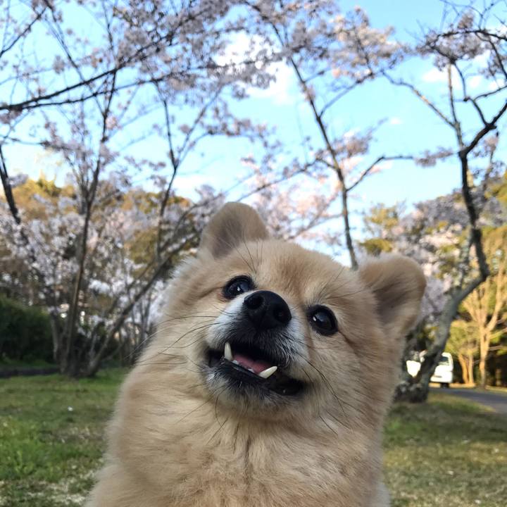 E7338b43 0d8e 4bca 8e9f 042801fc51a5 1588747520699