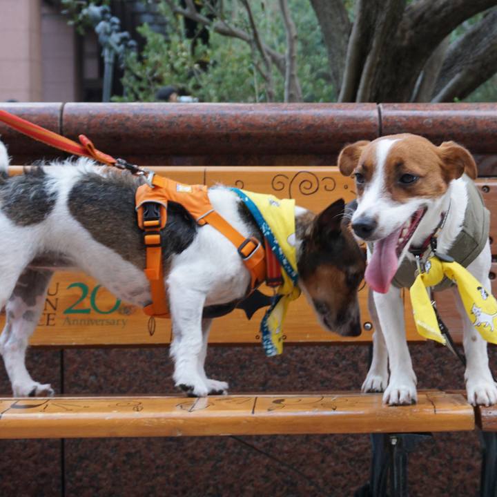 E733d631 4cda 4c29 a71c d75f4e6f32bc 1528552938848