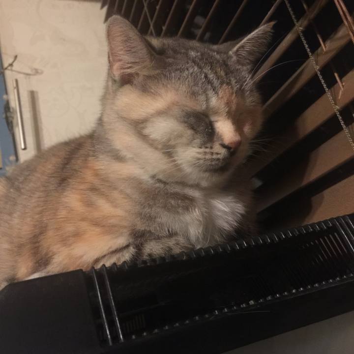 E733e1d8 e87a 42a9 ba05 b044d39657ca 1572635930720