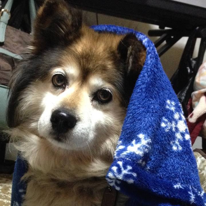 E733e4f0 c9f7 4c4b bb06 7395785f3bcf 1625025625732