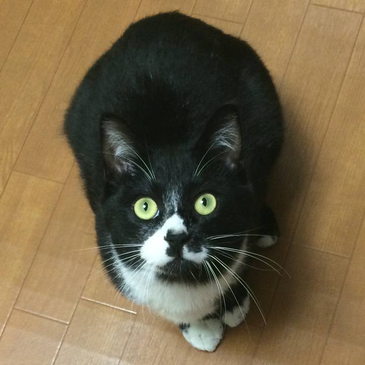 E7340adb de4c 40a7 9347 42a535c25cd3 1514008990656