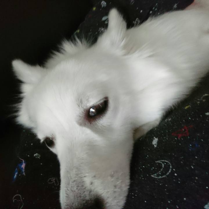 E73410bd f063 4bd7 8215 644f45895582 1511061096788