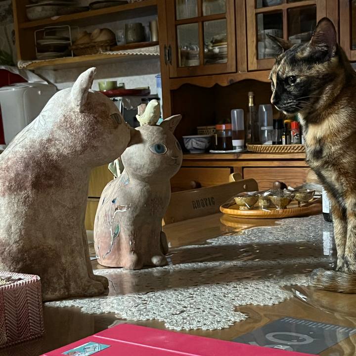 E734155c 2d43 43a8 9405 e844eb5fdc30 1657374996762