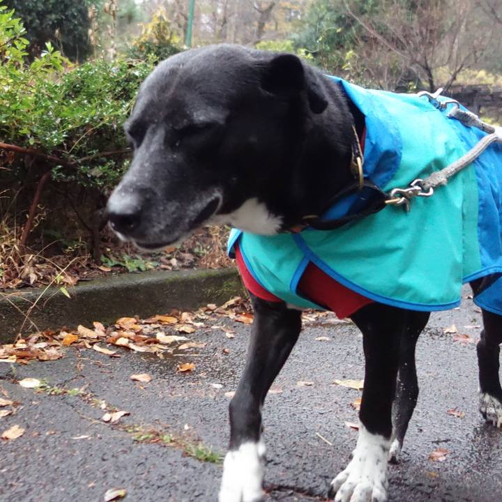 E734232b 084a 455d 8017 721d969d7dca 1670890083801