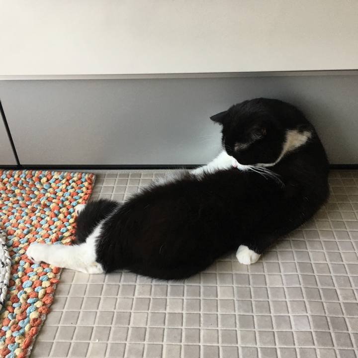 E7343039 4343 4a16 afc9 8c58a4c2bf3b 1588808554921