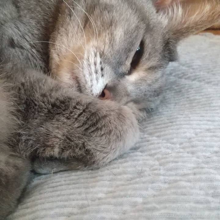 E734ead2 04d9 4ca6 95f2 c2c05462746c 1687648618046