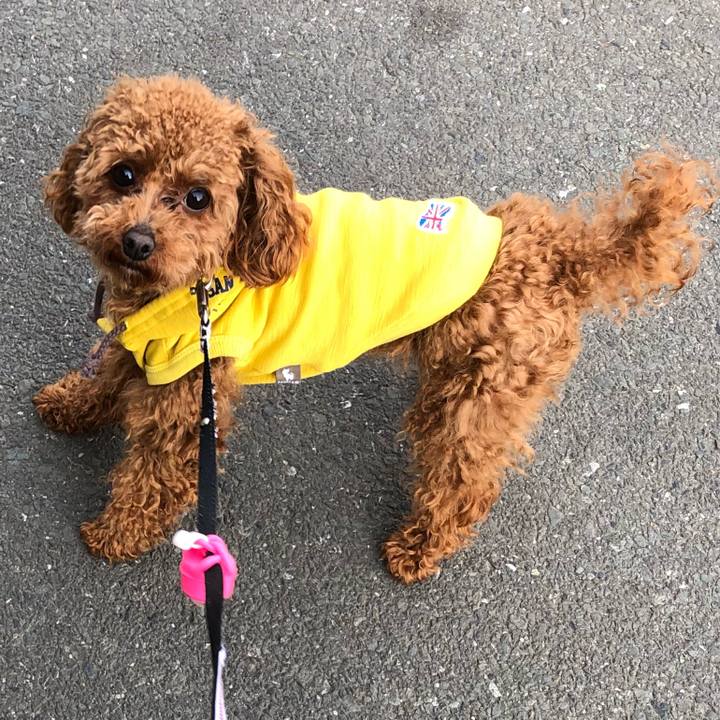 E734f855 70f8 4109 808b 4409cdb2a192 1521357231379