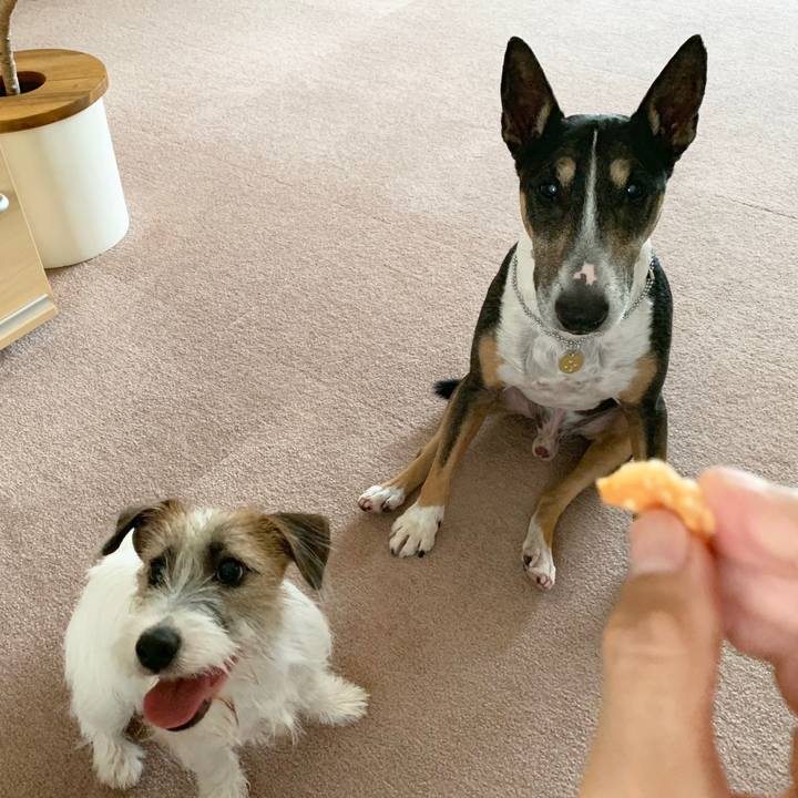 E73517f4 a835 4f69 95b9 6f42f07cc391 1567322796239