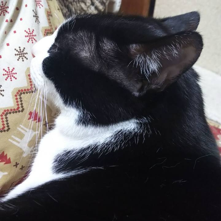 E7352d6f fd73 4462 b22c 5146fb82f3b9 1578346890820