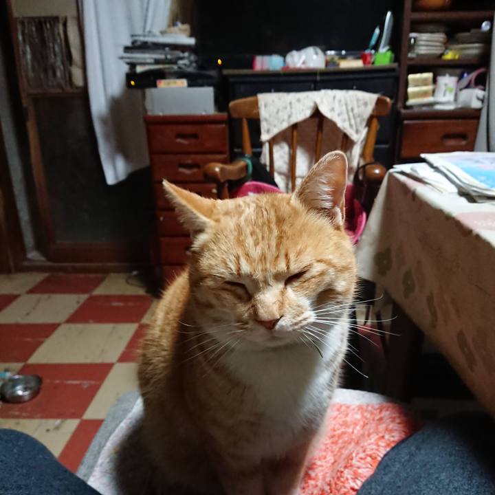 E7352f09 fa96 4223 a5bb bd257b307adb 1581969679136