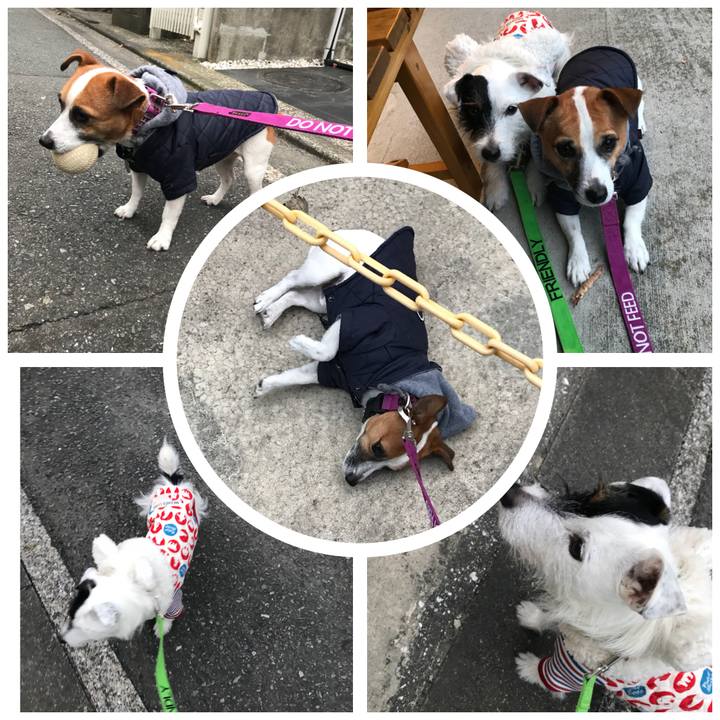 E735771e 358c 4f25 b9b7 ad055ef35760 1512373747893