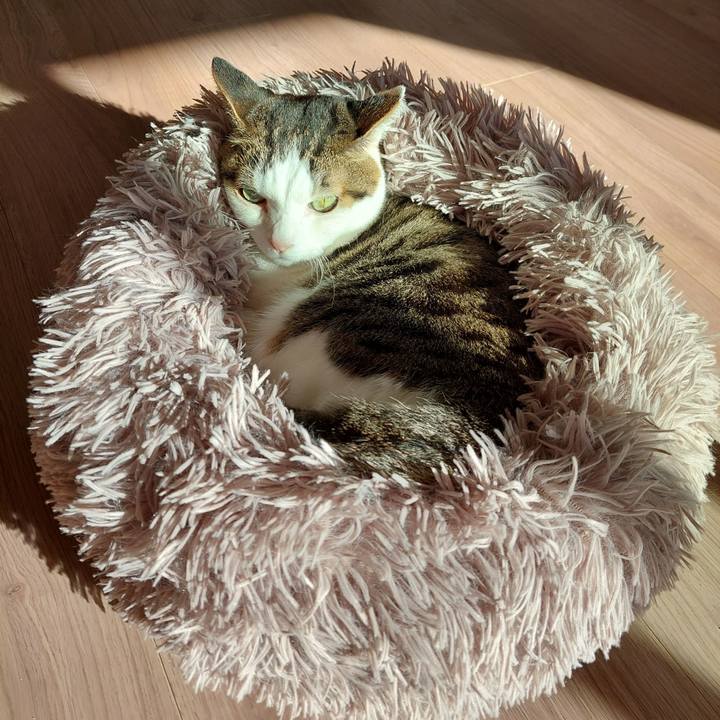 E7358399 d36f 4341 b127 ff4f624a20d1 1701476374363