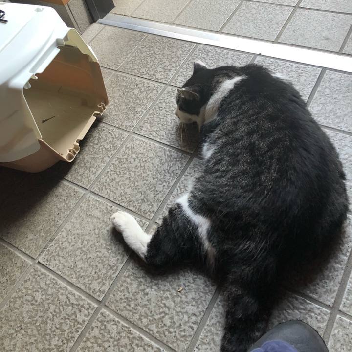 E735b01e 18a2 4620 8e28 7f296c4f1698 1534851327436