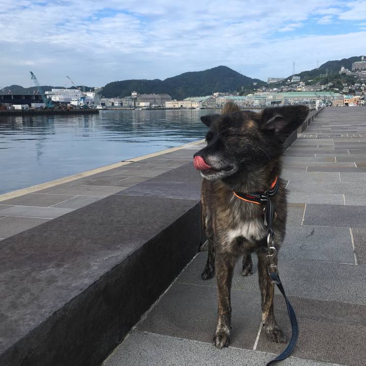 E735dc25 0c54 44f9 9473 ccd88898835e 1537329445660