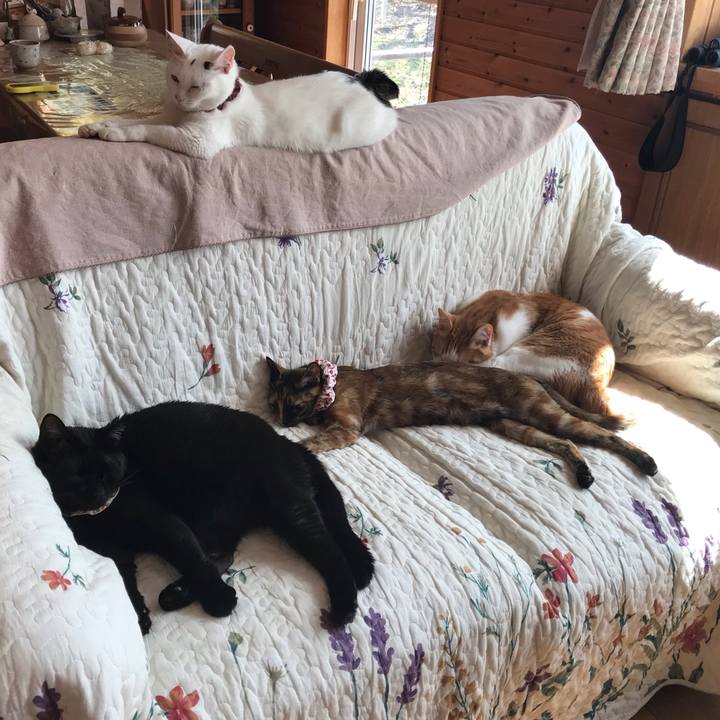 E735f245 301c 4ac2 8a54 e3a945dc1846 1620258634247