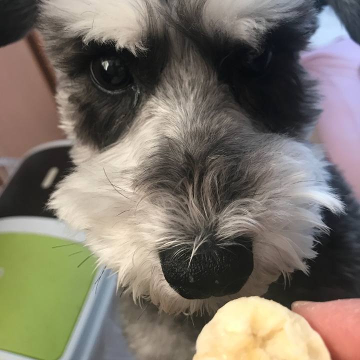 E736042d 712b 45b7 ac2f 3b278feb7ec9 1526080110992