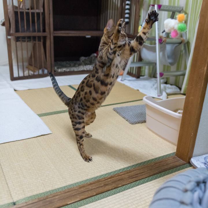 E7360eb4 6fd2 4e41 971f 2255fbad58de 1521207045077