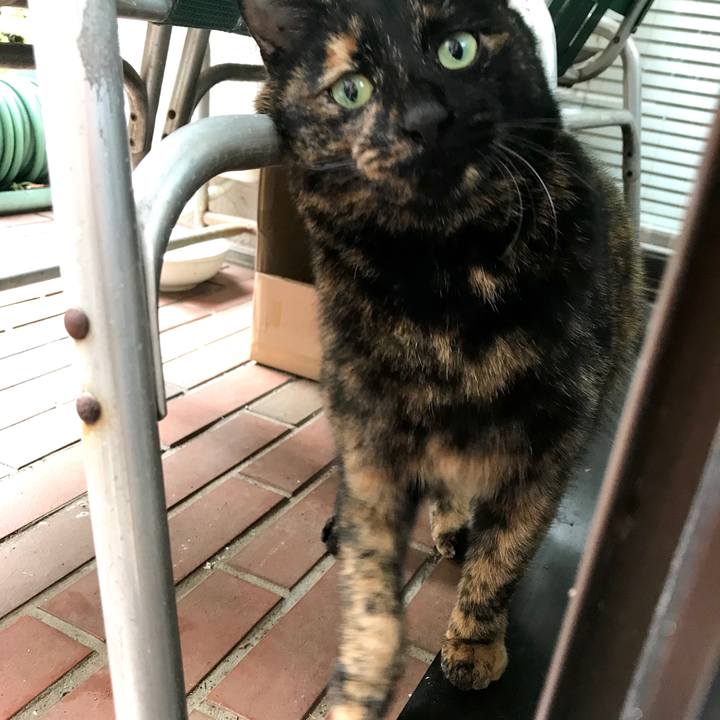 E7362761 c43d 405e b304 39ef16c31bbb 1511332924078