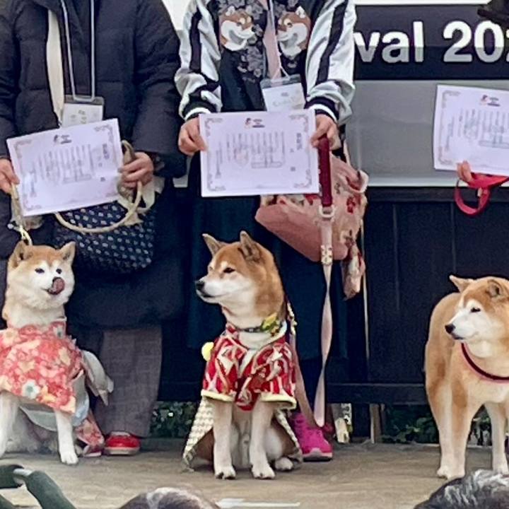 E7363904 afa2 476d 9afa 50ce379e6b51 1741617864174