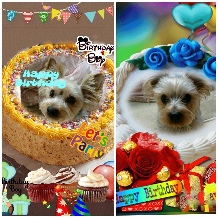 E7365bb8 3ef3 45ec b493 5bbc21b07a39 1522097620709