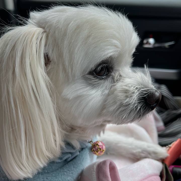 E7367dfa 5604 4be2 92bb 9d68a134278c 1701333609056