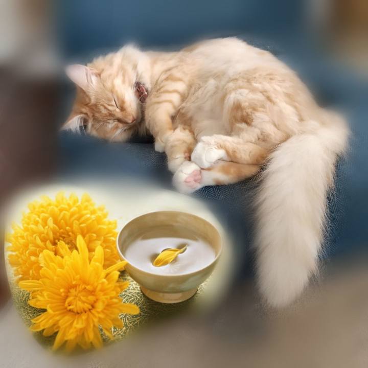 E736a0e1 05bf 4dd2 8bf5 00f05ce9782e 1631163225053