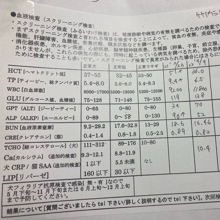 E736a2d2 4815 408a a8d6 d3dd81308b53 1681780250045